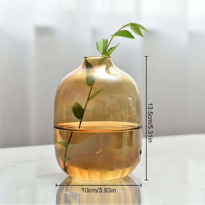 Retro Glass Vase Plant Hydroponic Terrarium Desktop Vase Glass Crafts DIY Aromatherapy Bottle Flower Arrangement Decoration