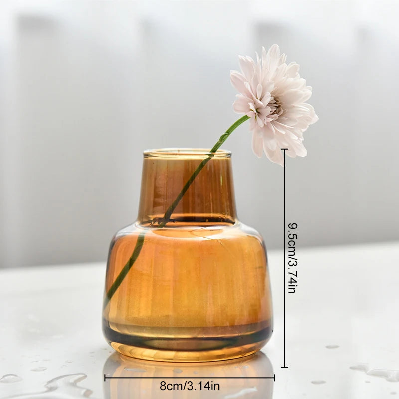 Retro Glass Vase Plant Hydroponic Terrarium Desktop Vase Glass Crafts DIY Aromatherapy Bottle Flower Arrangement Decoration