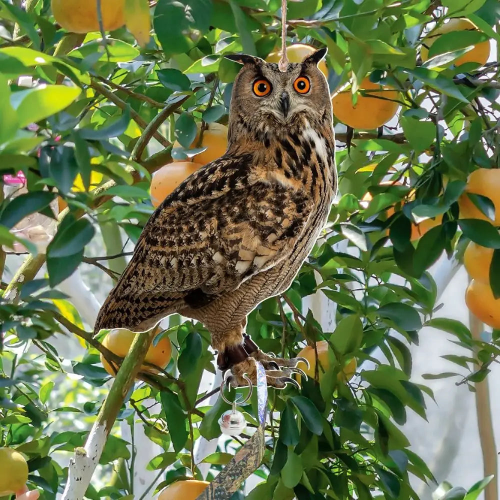 Waterproof Bird Repel Owl Scarecrow Hanging With Bells Fake Bird Scare Device Rectangle Bird Repeller Garden Decoration