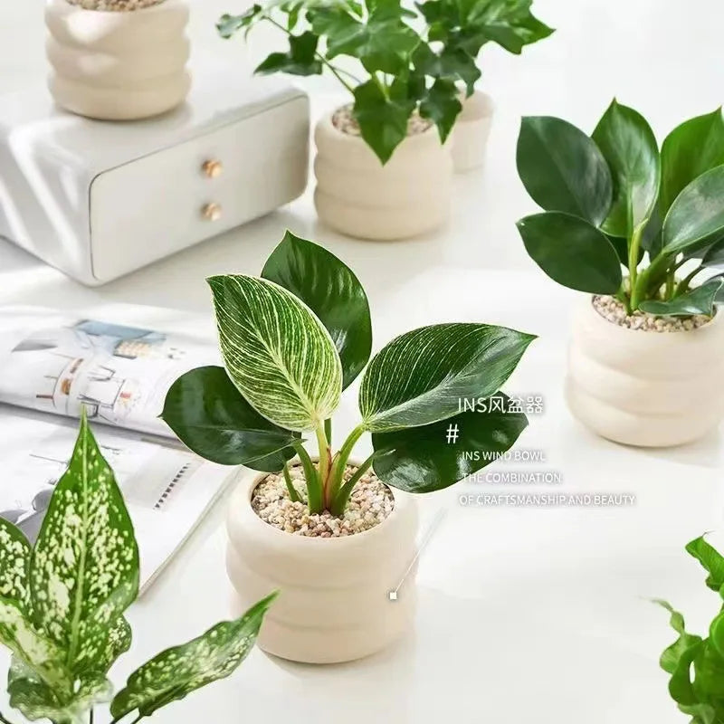 Simple Ceramic Flowerpot Office Desktop Green Plant Flowerpot Wind Silver Small Vase Flower Arrangement Decor Desktop Ornament