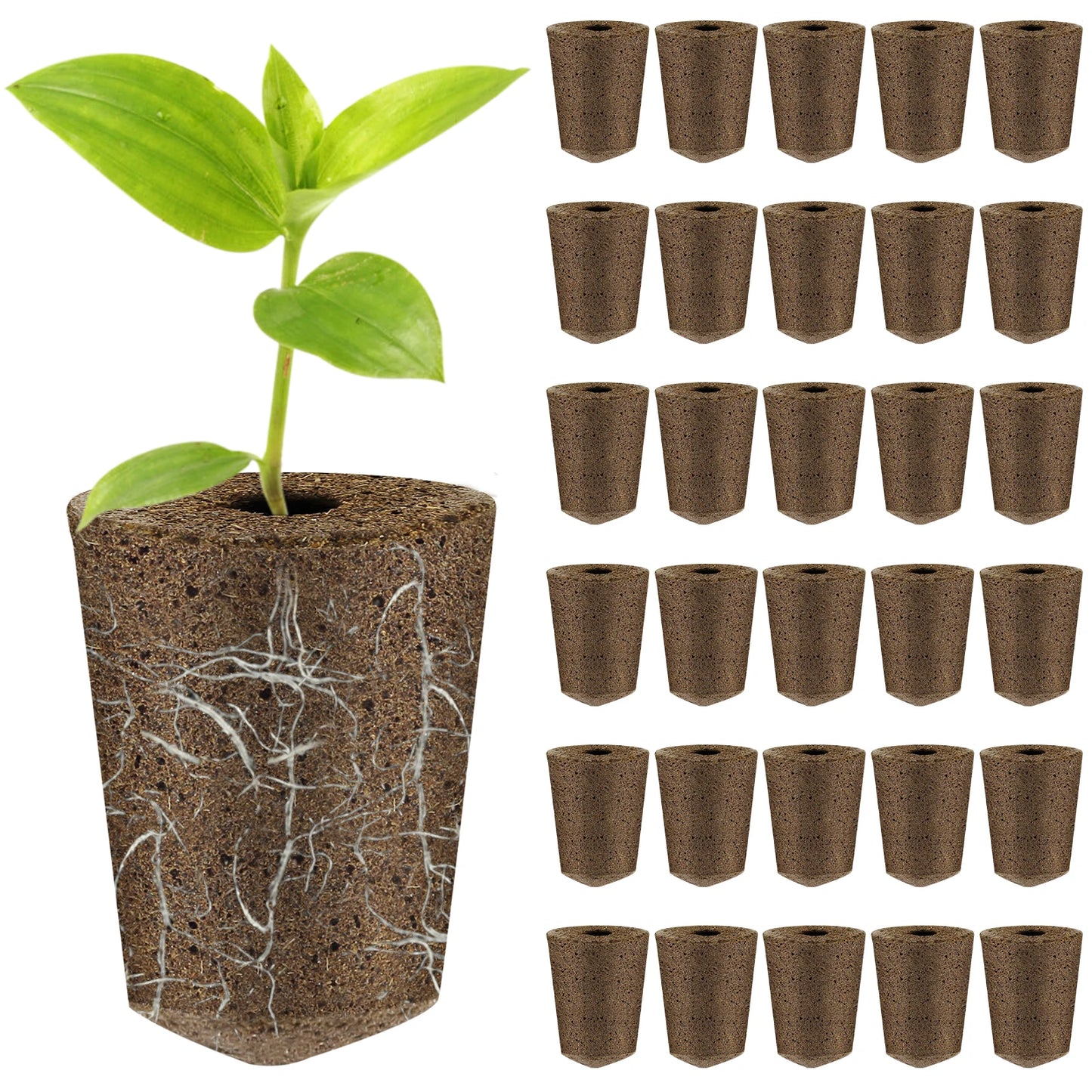 50 Pack Seed Grow Sponges Hydroponics Starter Replacement Root Growth Sponges Gardening Pod Garden Planting Accessories