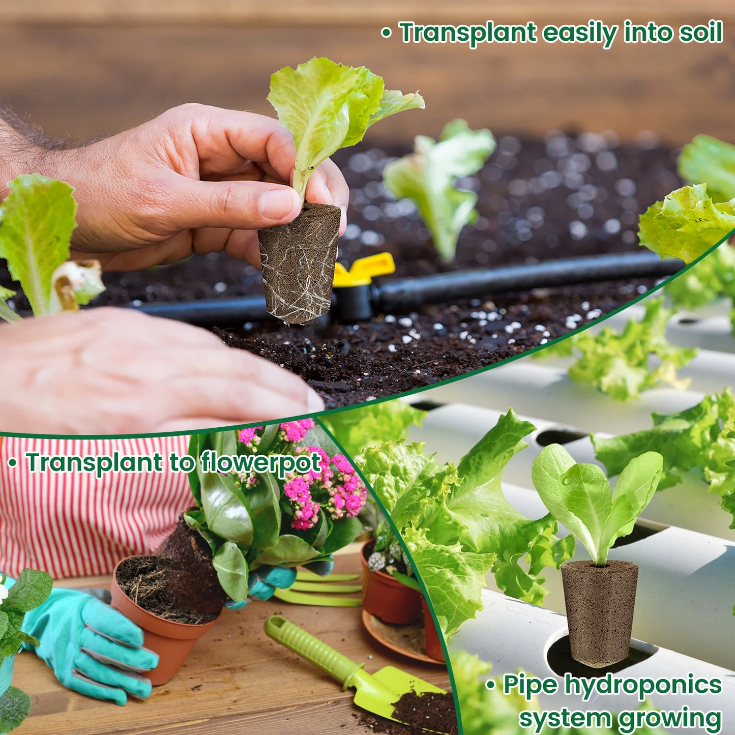 50 Pack Seed Grow Sponges Hydroponics Starter Replacement Root Growth Sponges Gardening Pod Garden Planting Accessories