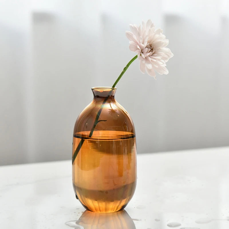 Retro Glass Vase Plant Hydroponic Terrarium Desktop Vase Glass Crafts DIY Aromatherapy Bottle Flower Arrangement Decoration