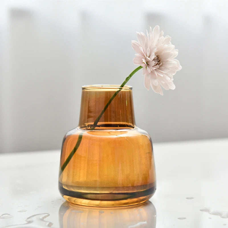 Retro Glass Vase Plant Hydroponic Terrarium Desktop Vase Glass Crafts DIY Aromatherapy Bottle Flower Arrangement Decoration