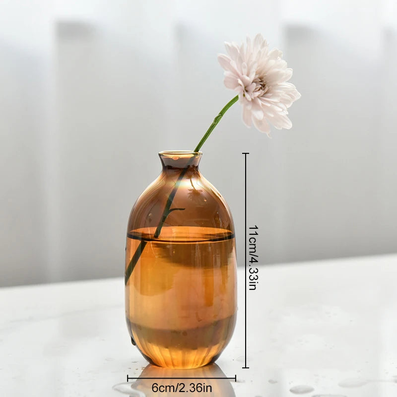 Retro Glass Vase Plant Hydroponic Terrarium Desktop Vase Glass Crafts DIY Aromatherapy Bottle Flower Arrangement Decoration