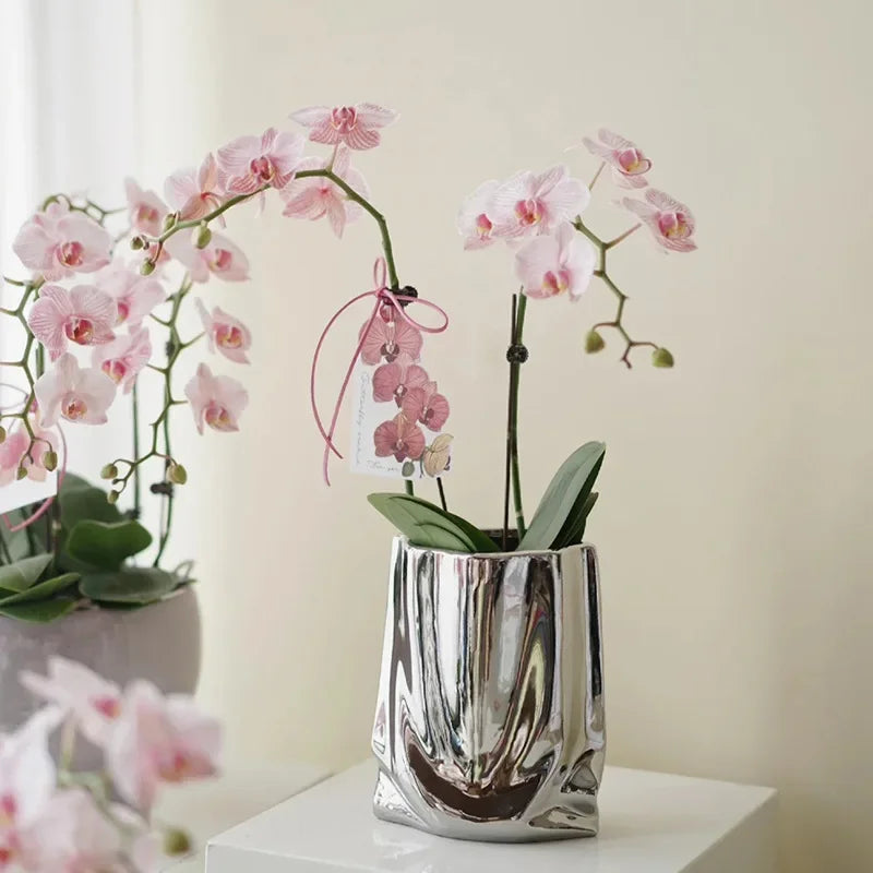 Creative Flower Pots Large Silver Ceramic Flower Cachepot Vase Planters Garden Succulent Plants Potted Modern Home Decoration