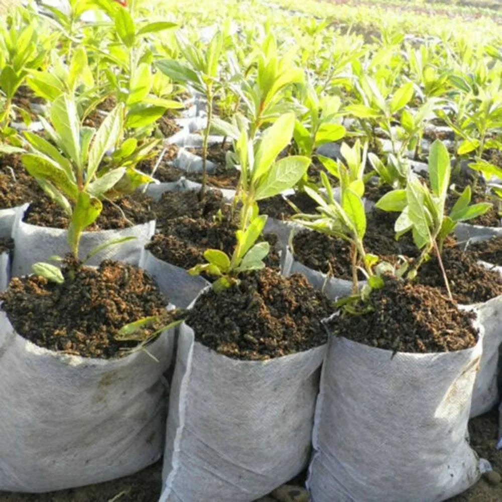 100pcs Biodegradable Nonwoven Nursery Plant Grow Bags Seedling Growing Planter Planting Pots Garden Eco-Friendly Ventilate Bag