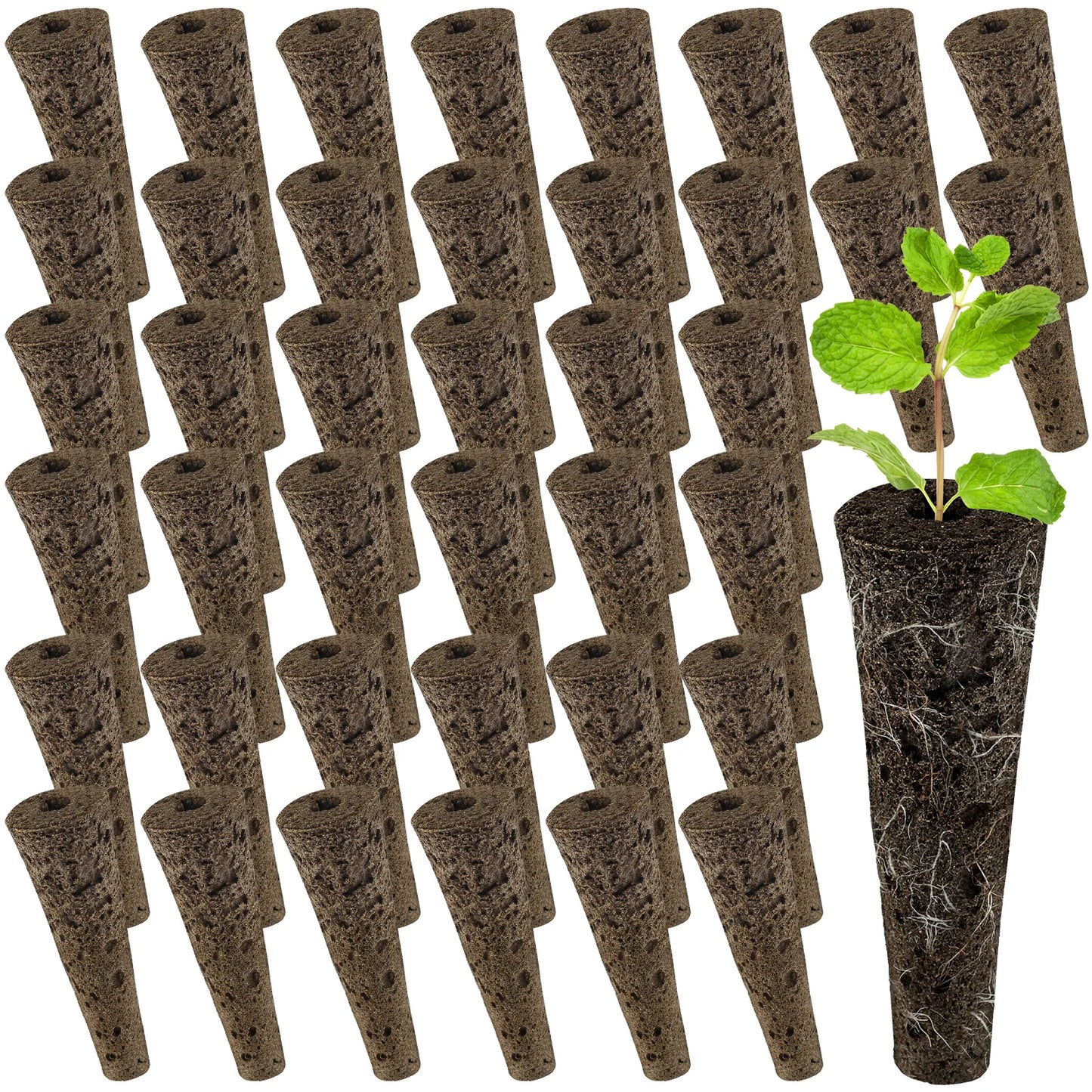 50 Pack Seed Grow Sponges Hydroponics Starter Replacement Root Growth Sponges Gardening Pod Garden Planting Accessories