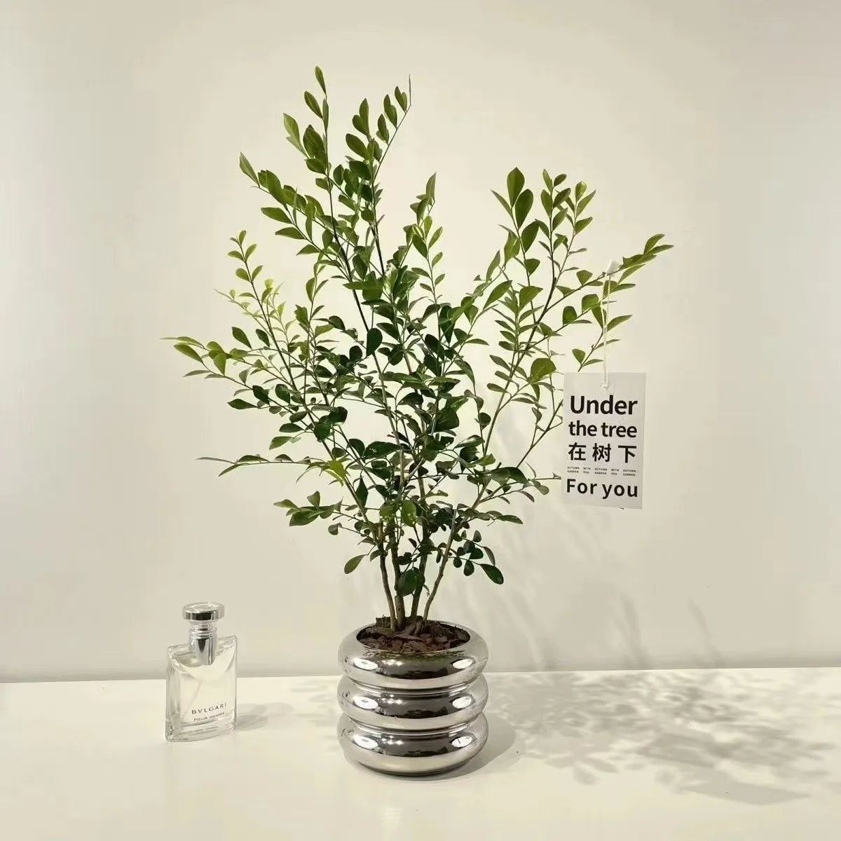 Simple Ceramic Flowerpot Office Desktop Green Plant Flowerpot Wind Silver Small Vase Flower Arrangement Decor Desktop Ornament