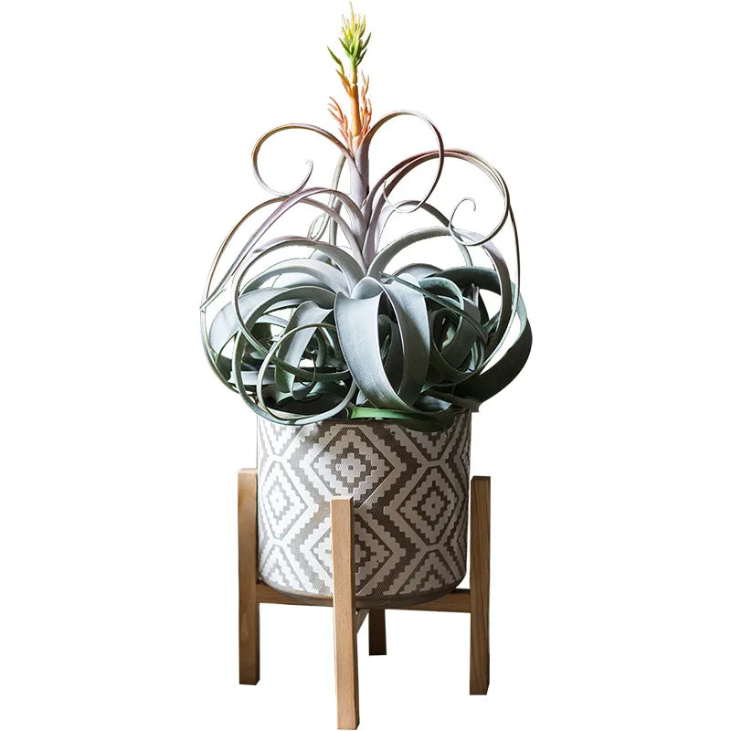 Large Artificial Succulent Plants Fake Air Grass Plastic Aloe Big Tree Leaves Wall Hanging Plant For Home Wall Desk Garden Decor