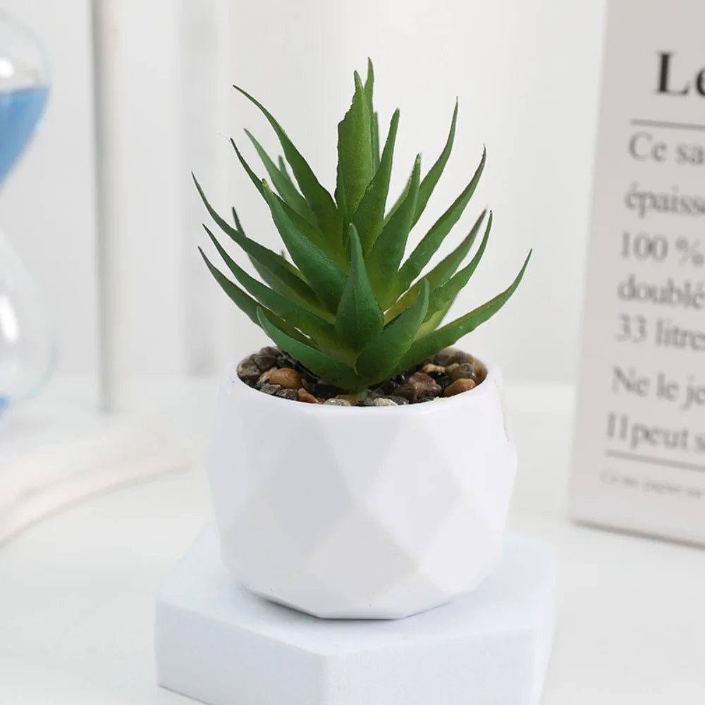 Soft Glue Artificial Plant EVA Green Faux Copper Coin Grass Garden Decoration Home Office Succulent Plants Leaves Home Office