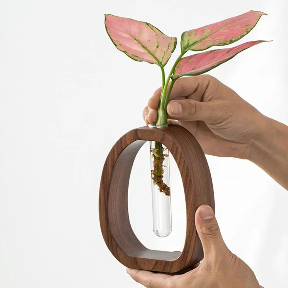 Hydroponic Plants Test Tube Vase with Wooden Stand Clear Flower Vase Table Plants Propagation Vase Home Office Desktop Decor