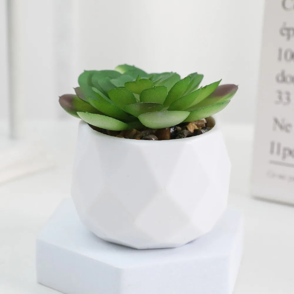Soft Glue Artificial Plant EVA Green Faux Copper Coin Grass Garden Decoration Home Office Succulent Plants Leaves Home Office