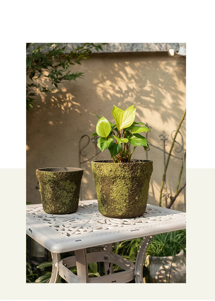 Creative imitation moss cement flower pot succulent flower utensil mud tile pot quaint planting utensils grocery garden ornament