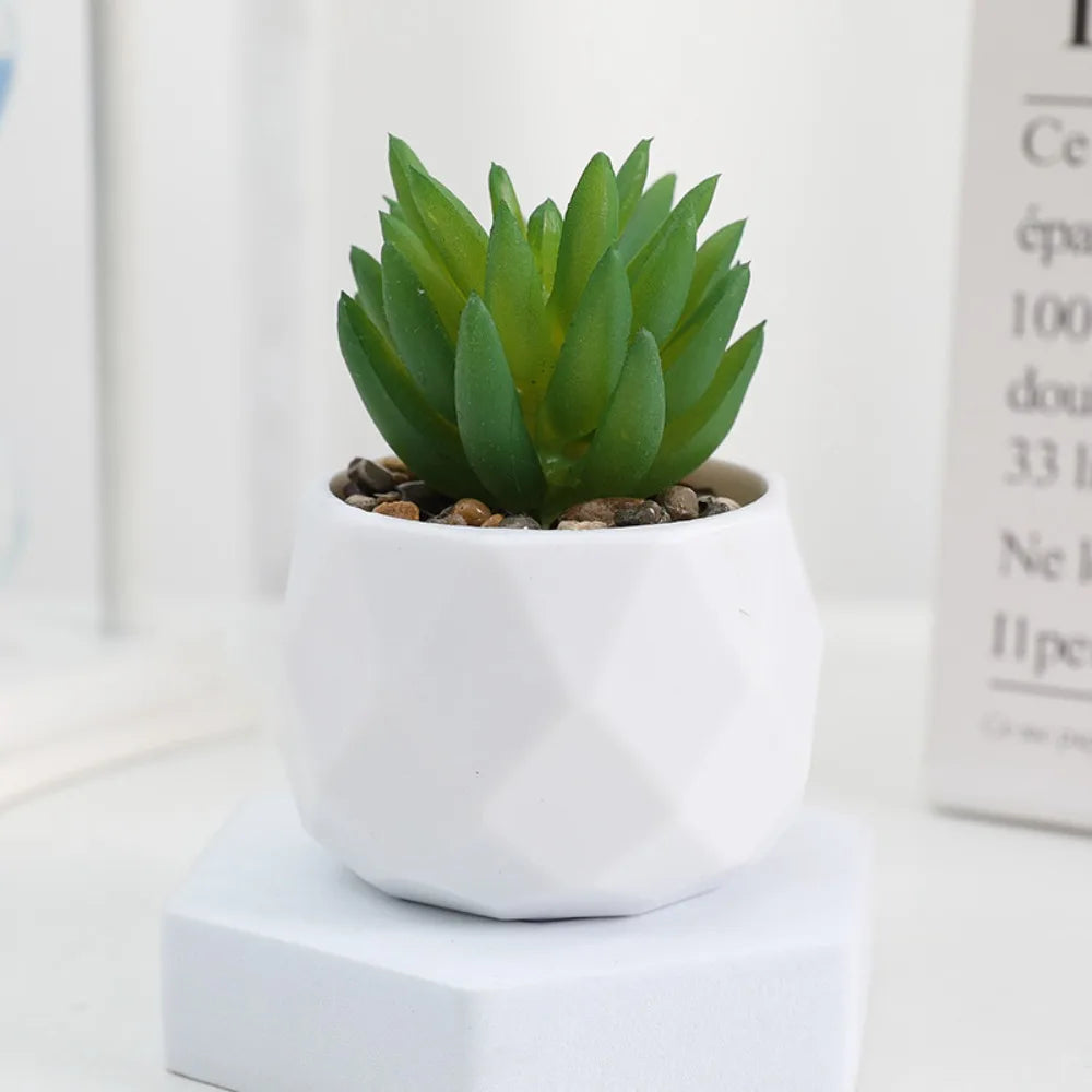 Soft Glue Artificial Plant EVA Green Faux Copper Coin Grass Garden Decoration Home Office Succulent Plants Leaves Home Office