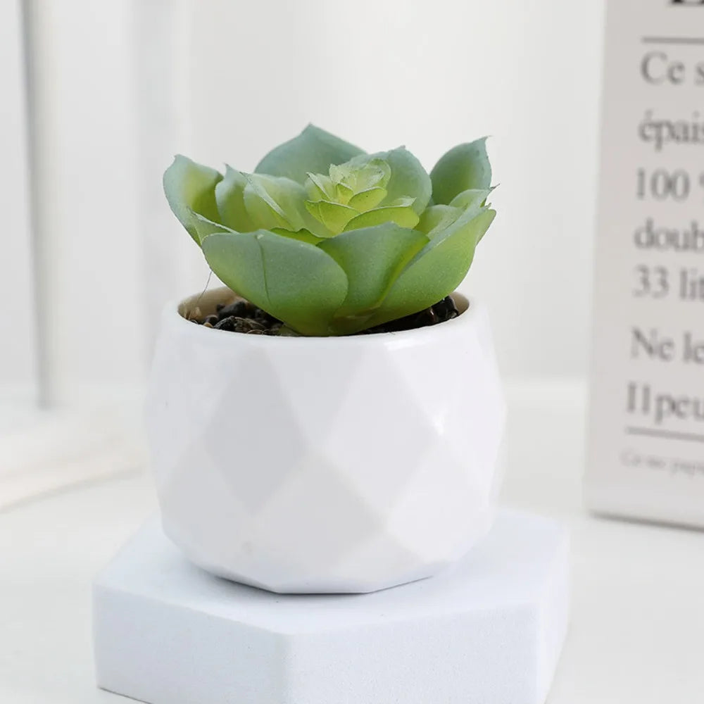 Soft Glue Artificial Plant EVA Green Faux Copper Coin Grass Garden Decoration Home Office Succulent Plants Leaves Home Office