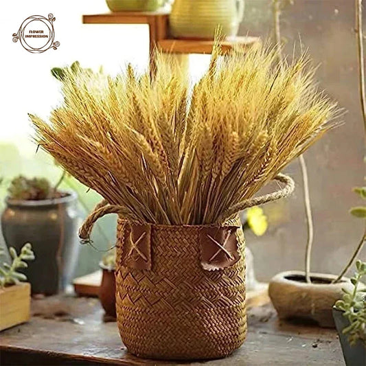 Natural Wheat Spikes Dried Flowers Bouquet Kitchen Church Tables Weddings Party Decor Supplies Boho Home Decor Artificial Plants