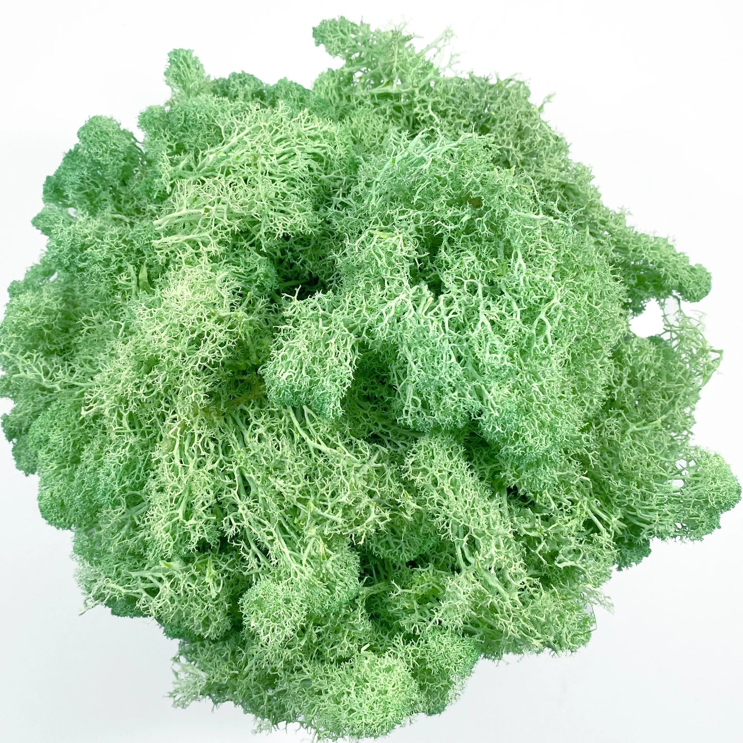 Artificial Moss for Potted Plants Fake Natural Green Reindeer Moss for Craft Arts Floral Wall Decor Wedding Garden Decoration