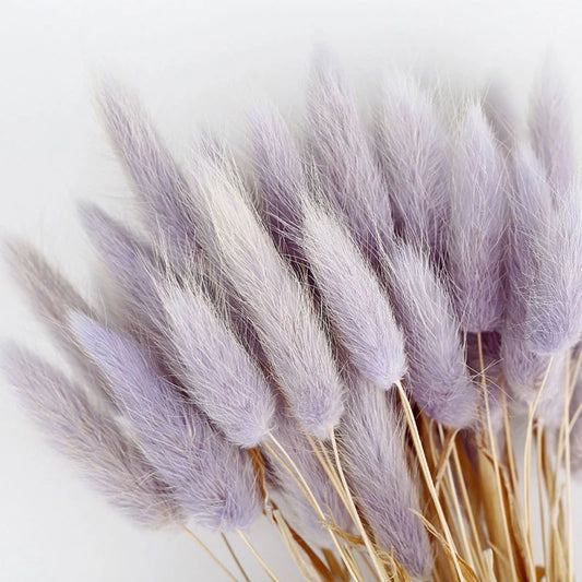 50pcs Colorful Pastoral Rabbit Tail Grass Bunny Tails Dried Flowers Artificial Plant Bouquet Plant Stem Material Home Decortaion