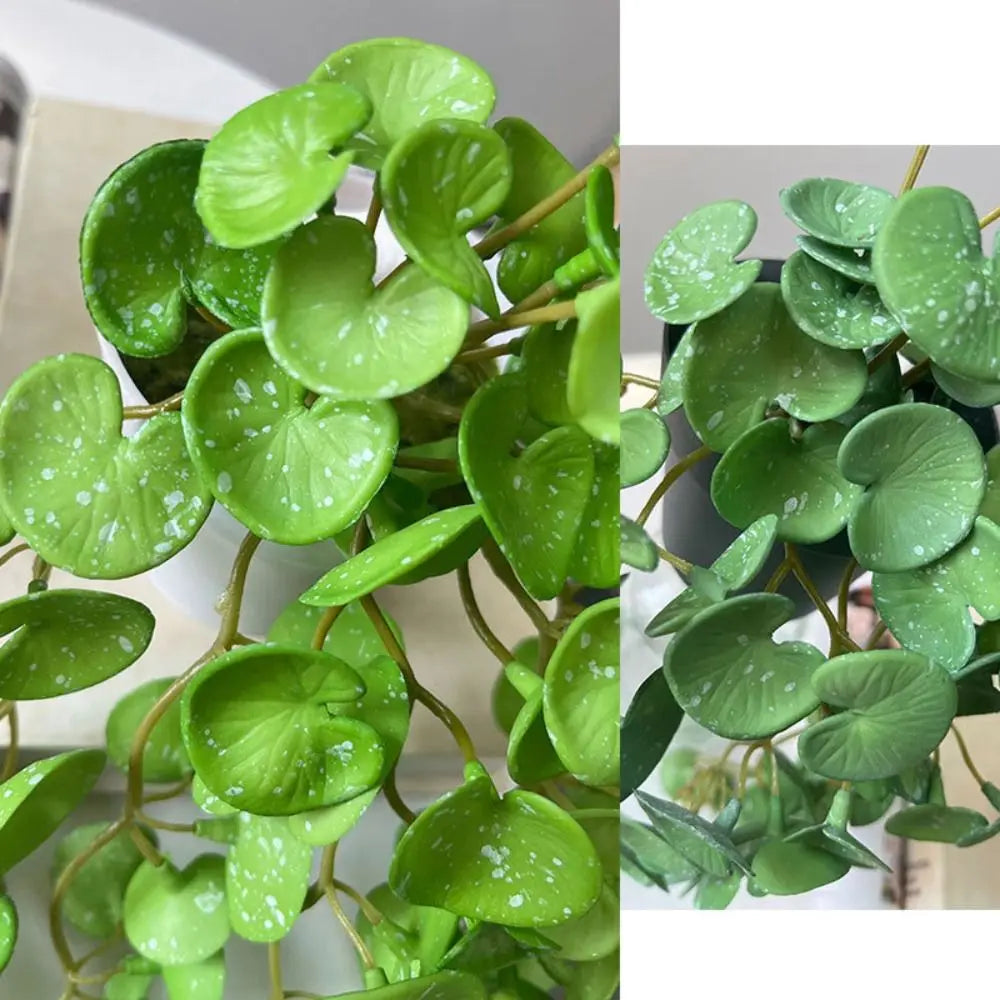 Soft Glue Artificial Plant EVA Green Faux Copper Coin Grass Garden Decoration Home Office Succulent Plants Leaves Home Office