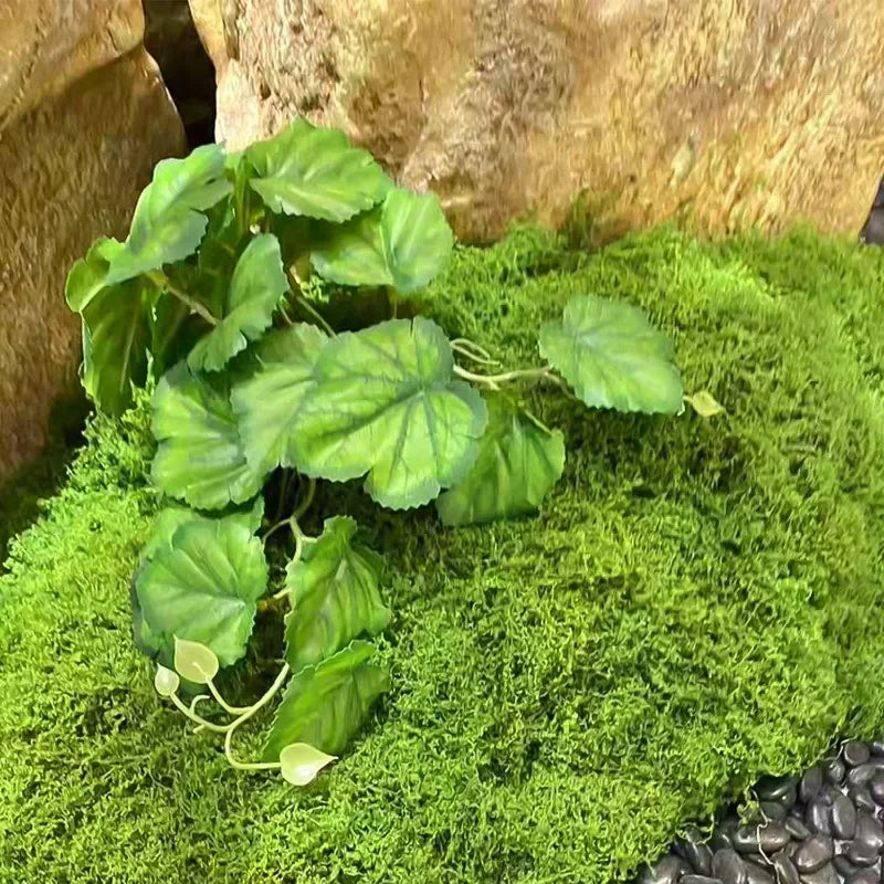 200/30g Eternal Life Moss Grass Artificial Green Plants Mini Landscape Fake Grass Garden Living Room Home Decoration DIY Crafts