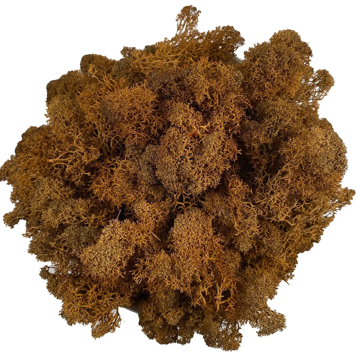 Artificial Moss for Potted Plants Fake Natural Green Reindeer Moss for Craft Arts Floral Wall Decor Wedding Garden Decoration