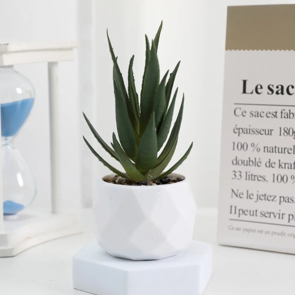 Soft Glue Artificial Plant EVA Green Faux Copper Coin Grass Garden Decoration Home Office Succulent Plants Leaves Home Office