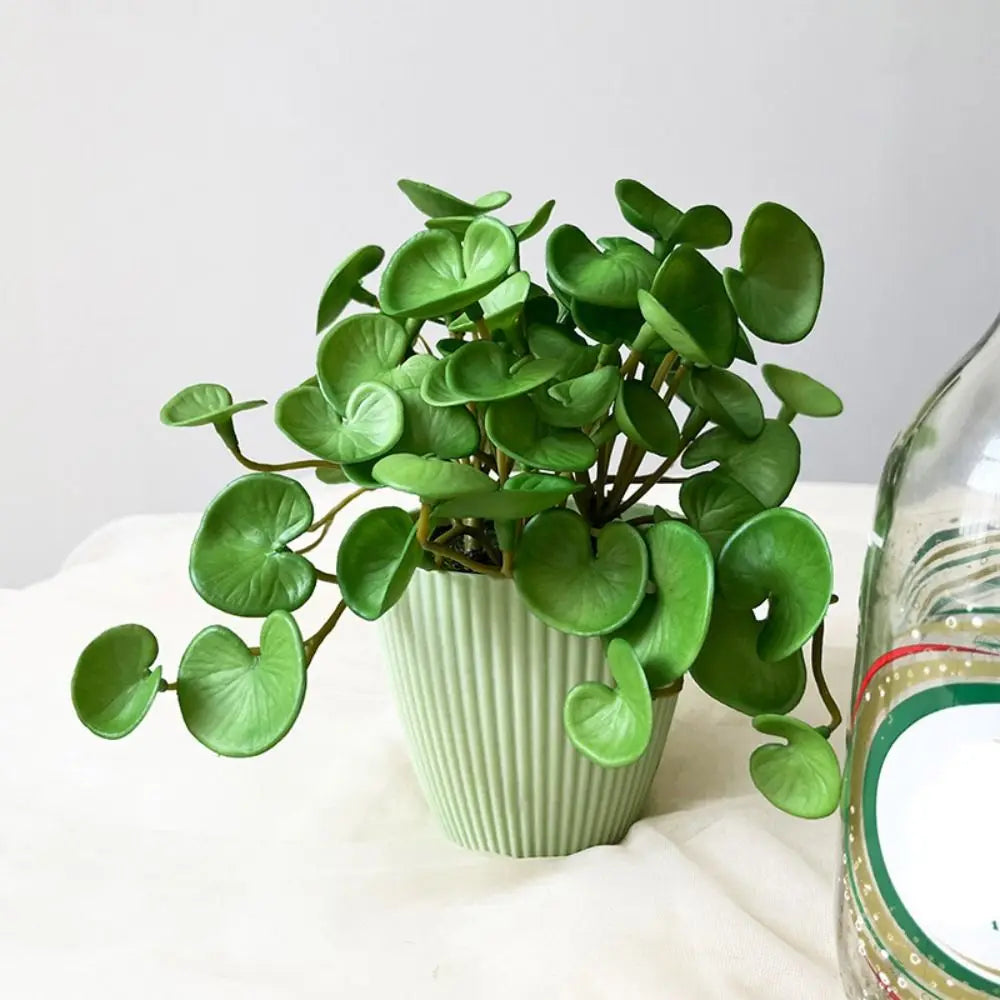 Soft Glue Artificial Plant EVA Green Faux Copper Coin Grass Garden Decoration Home Office Succulent Plants Leaves Home Office