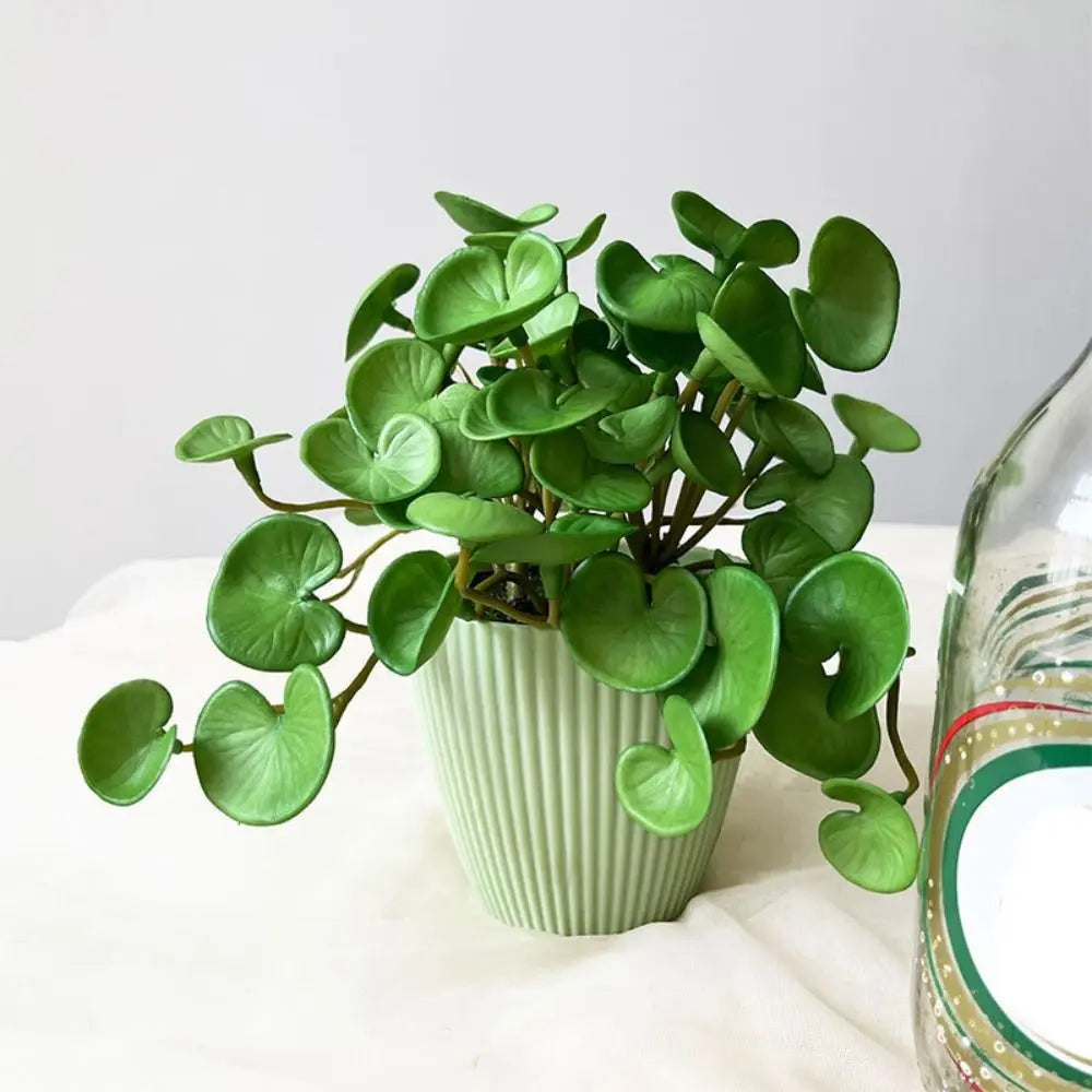 Soft Glue Artificial Plant EVA Green Faux Copper Coin Grass Garden Decoration Home Office Succulent Plants Leaves Home Office