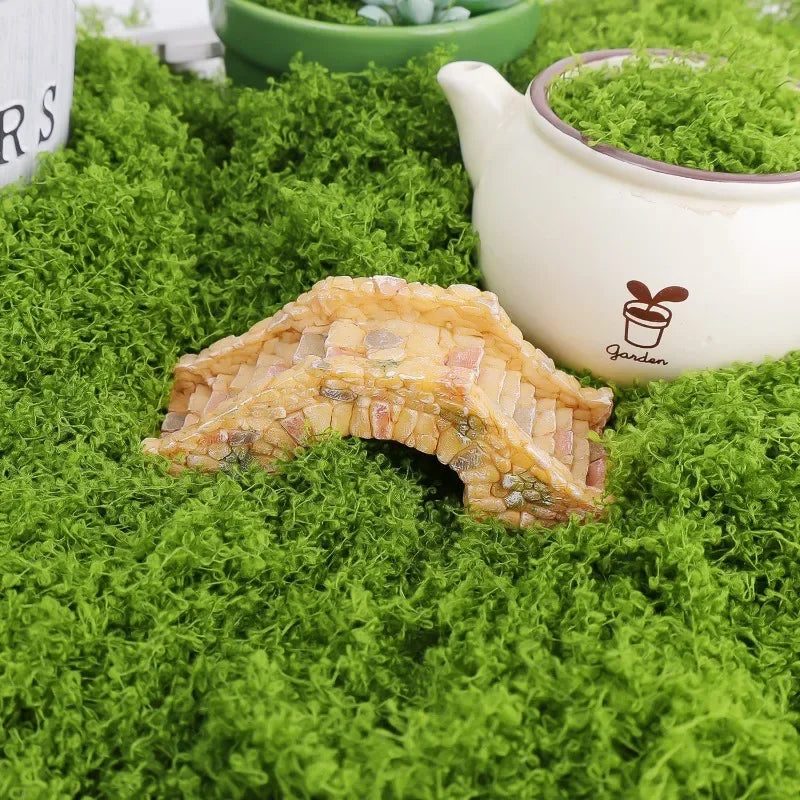 200/30g Eternal Life Moss Grass Artificial Green Plants Mini Landscape Fake Grass Garden Living Room Home Decoration DIY Crafts