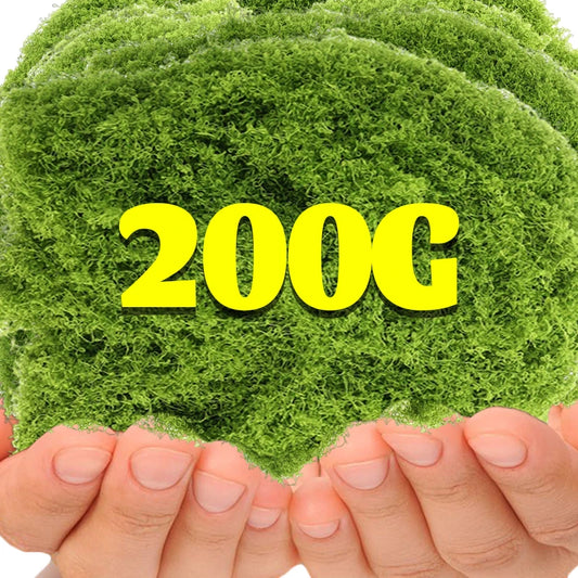 200/30g Eternal Life Moss Grass Artificial Green Plants Mini Landscape Fake Grass Garden Living Room Home Decoration DIY Crafts