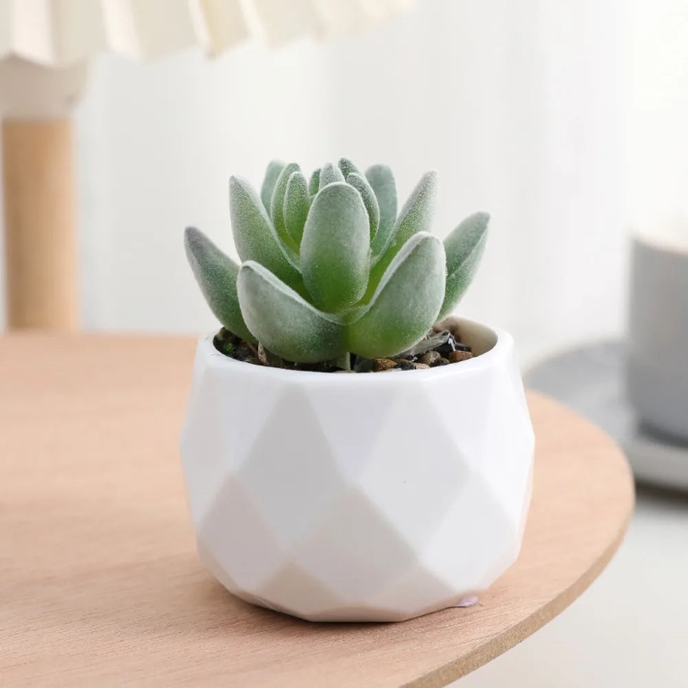 Soft Glue Artificial Plant EVA Green Faux Copper Coin Grass Garden Decoration Home Office Succulent Plants Leaves Home Office