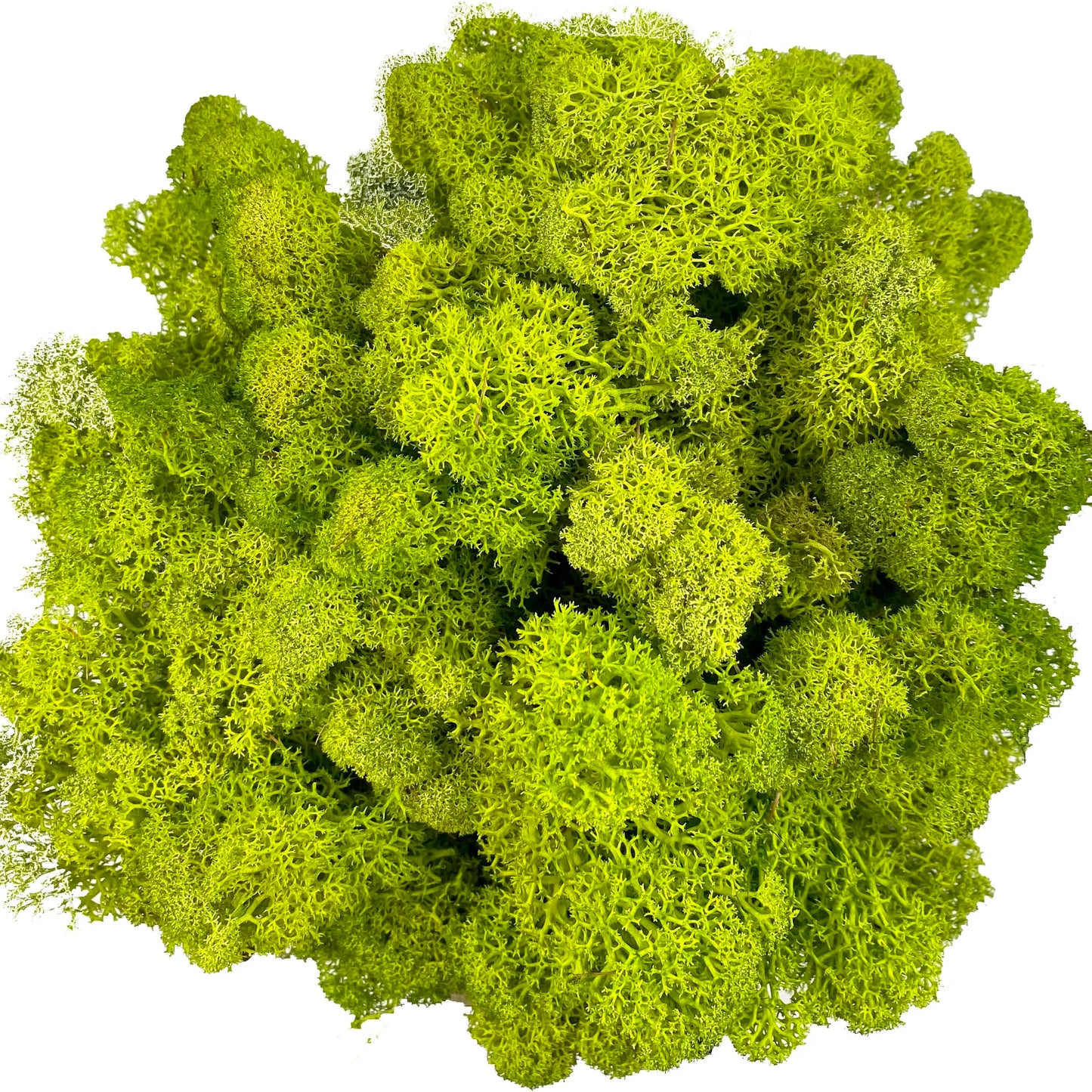 Artificial Moss for Potted Plants Fake Natural Green Reindeer Moss for Craft Arts Floral Wall Decor Wedding Garden Decoration
