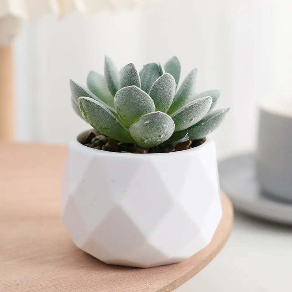 Soft Glue Artificial Plant EVA Green Faux Copper Coin Grass Garden Decoration Home Office Succulent Plants Leaves Home Office