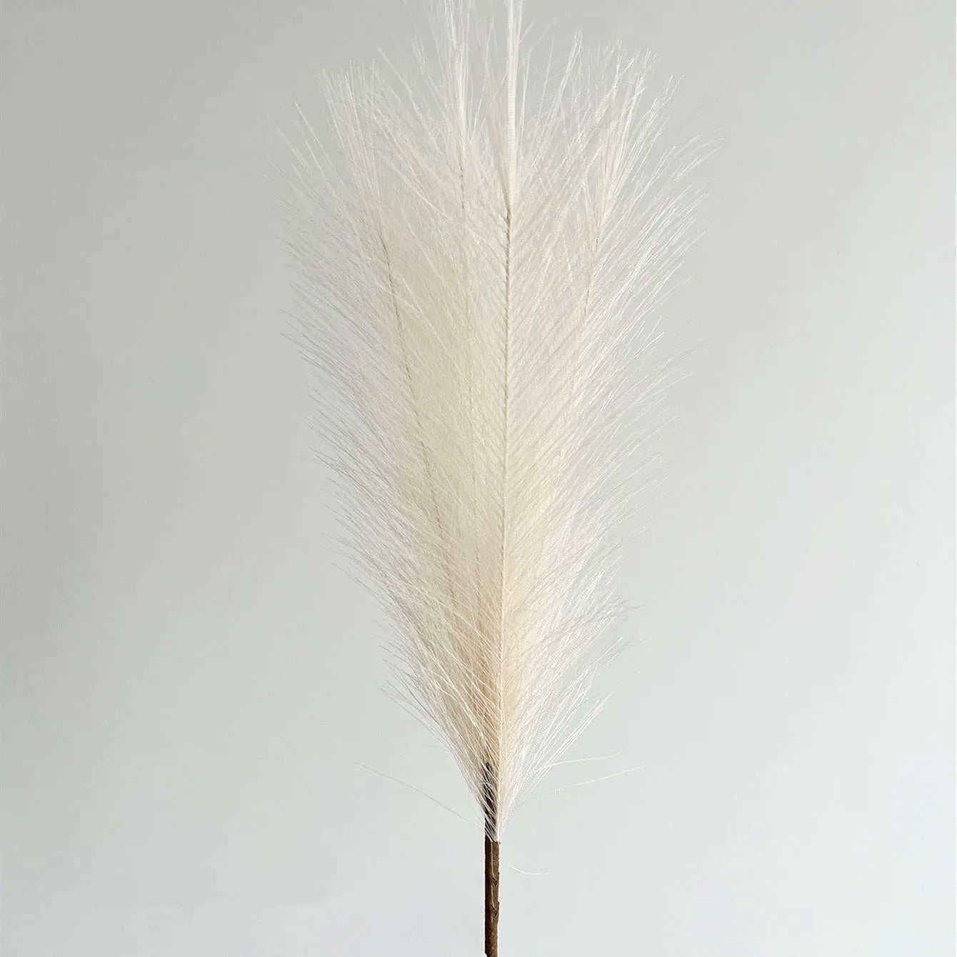 1/5/10/30pcs High Quality Bouquet pampas grass decoration 42cm Fluffy Pampas Grass Christmas Vase Decor Wedding Home Decor DIY