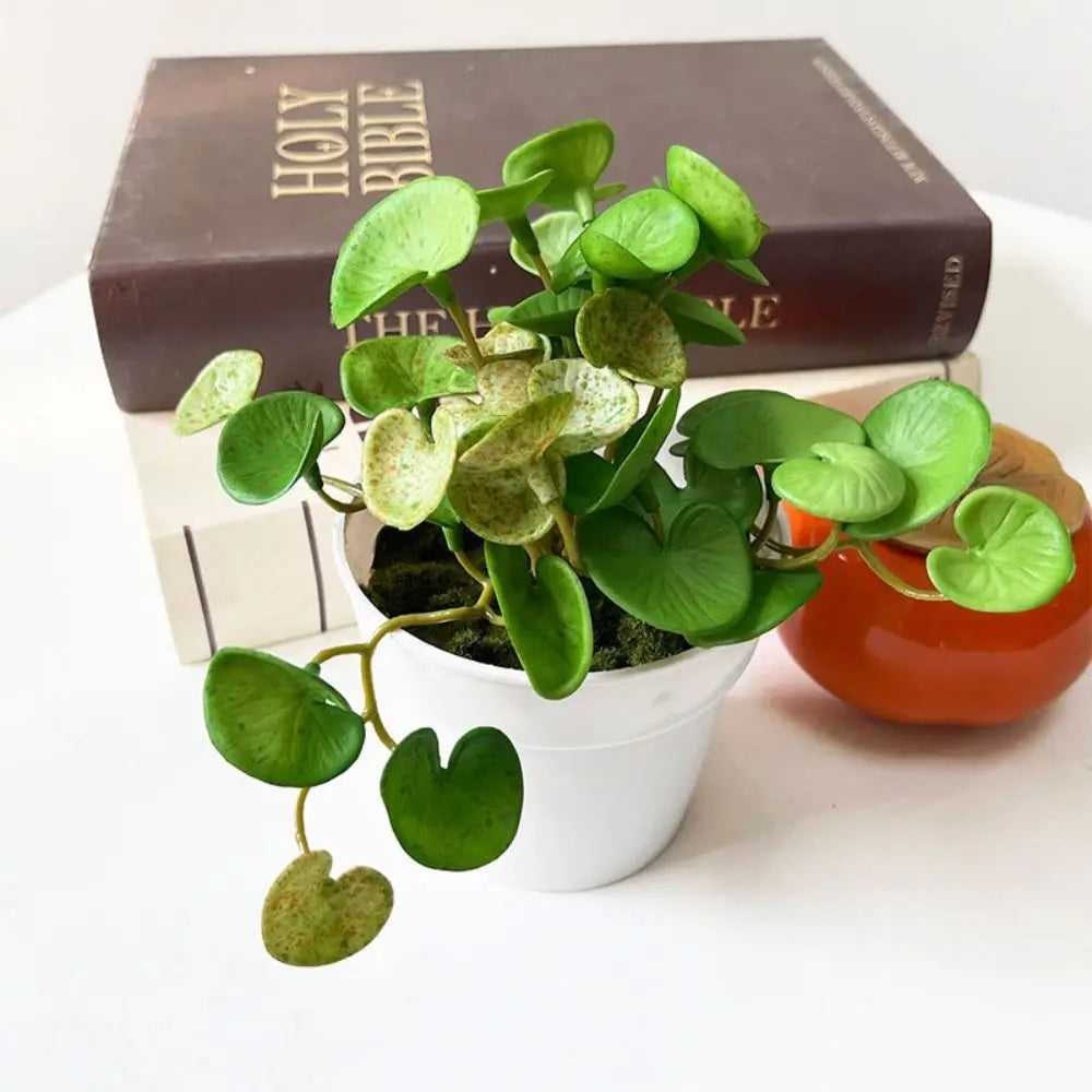 Soft Glue Artificial Plant EVA Green Faux Copper Coin Grass Garden Decoration Home Office Succulent Plants Leaves Home Office