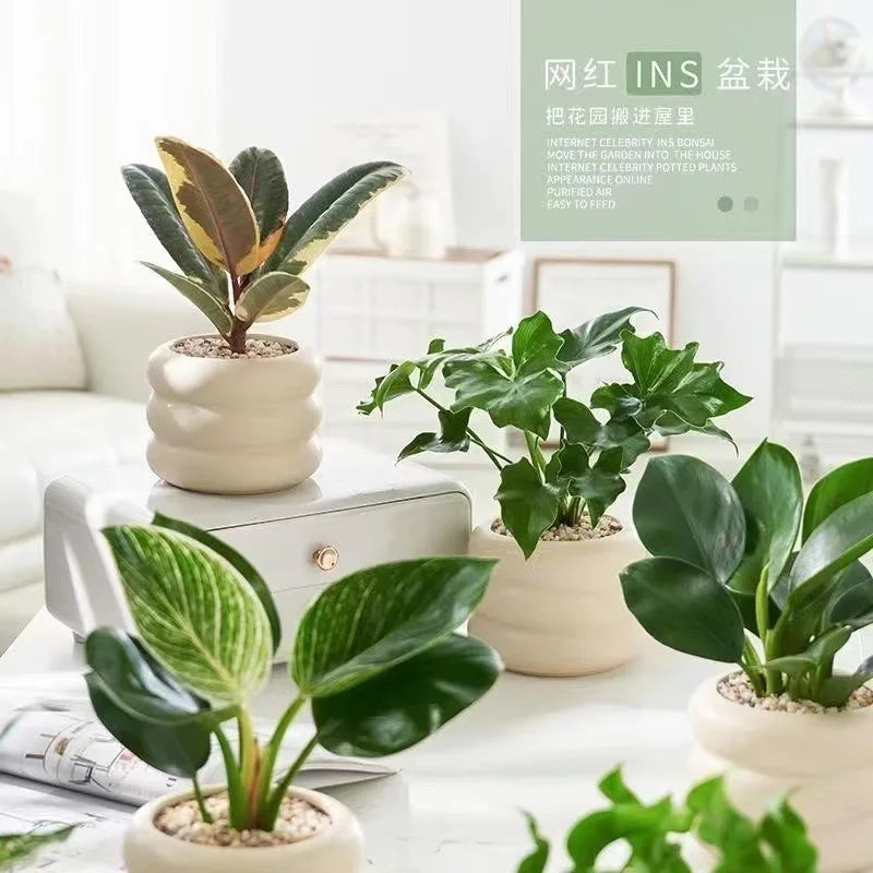 Simple Ceramic Flowerpot Office Desktop Green Plant Flowerpot Wind Silver Small Vase Flower Arrangement Decor Desktop Ornament