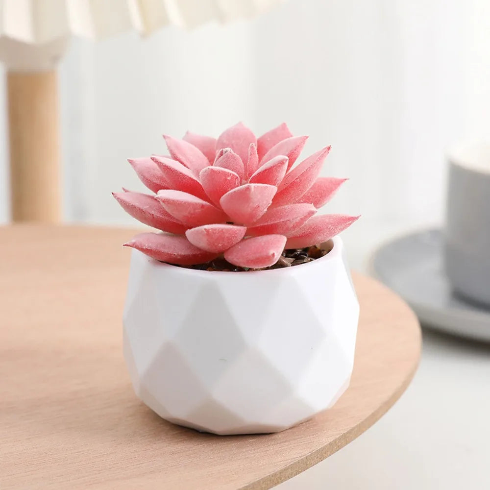 Soft Glue Artificial Plant EVA Green Faux Copper Coin Grass Garden Decoration Home Office Succulent Plants Leaves Home Office