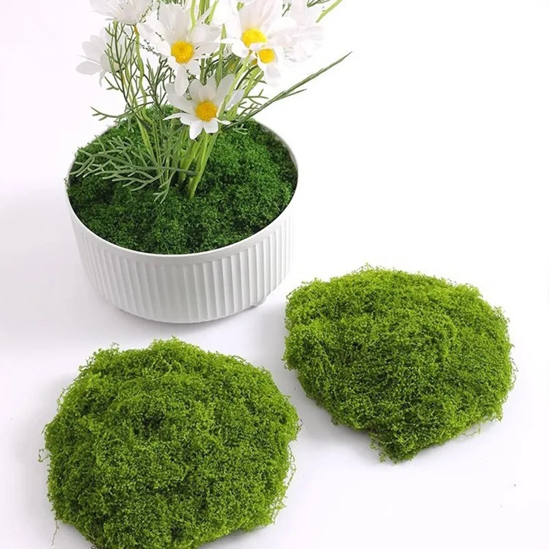Eternal Life Moss Artificial Green Plants Fake Grass for Home Living Room Garden Mini Landscape Moss Decorations DIY Crafts 500g
