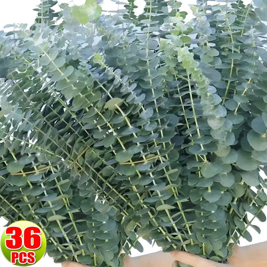 10/36PCS Artificial Eucalyptus Stems Green Leaves Eucalyptus Branches Flower Bouquet Wedding Christmas Decoration Fake Plant