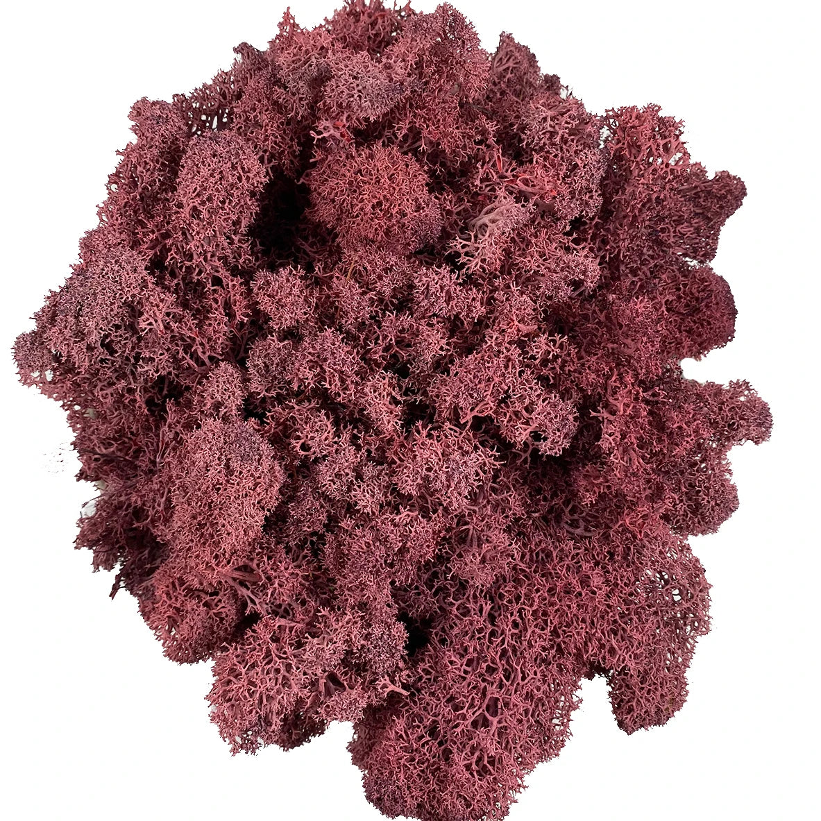 Artificial Moss for Potted Plants Fake Natural Green Reindeer Moss for Craft Arts Floral Wall Decor Wedding Garden Decoration