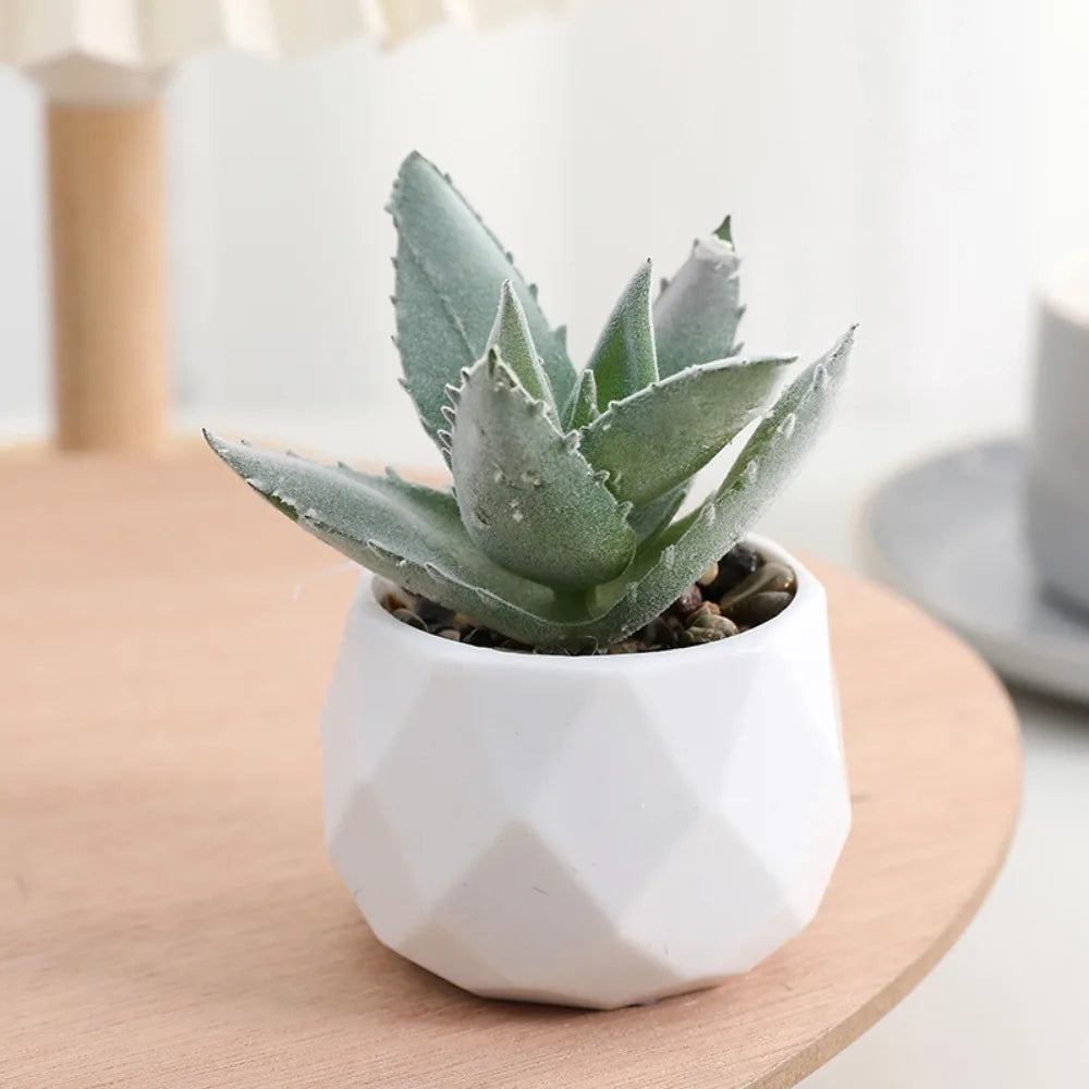 Soft Glue Artificial Plant EVA Green Faux Copper Coin Grass Garden Decoration Home Office Succulent Plants Leaves Home Office