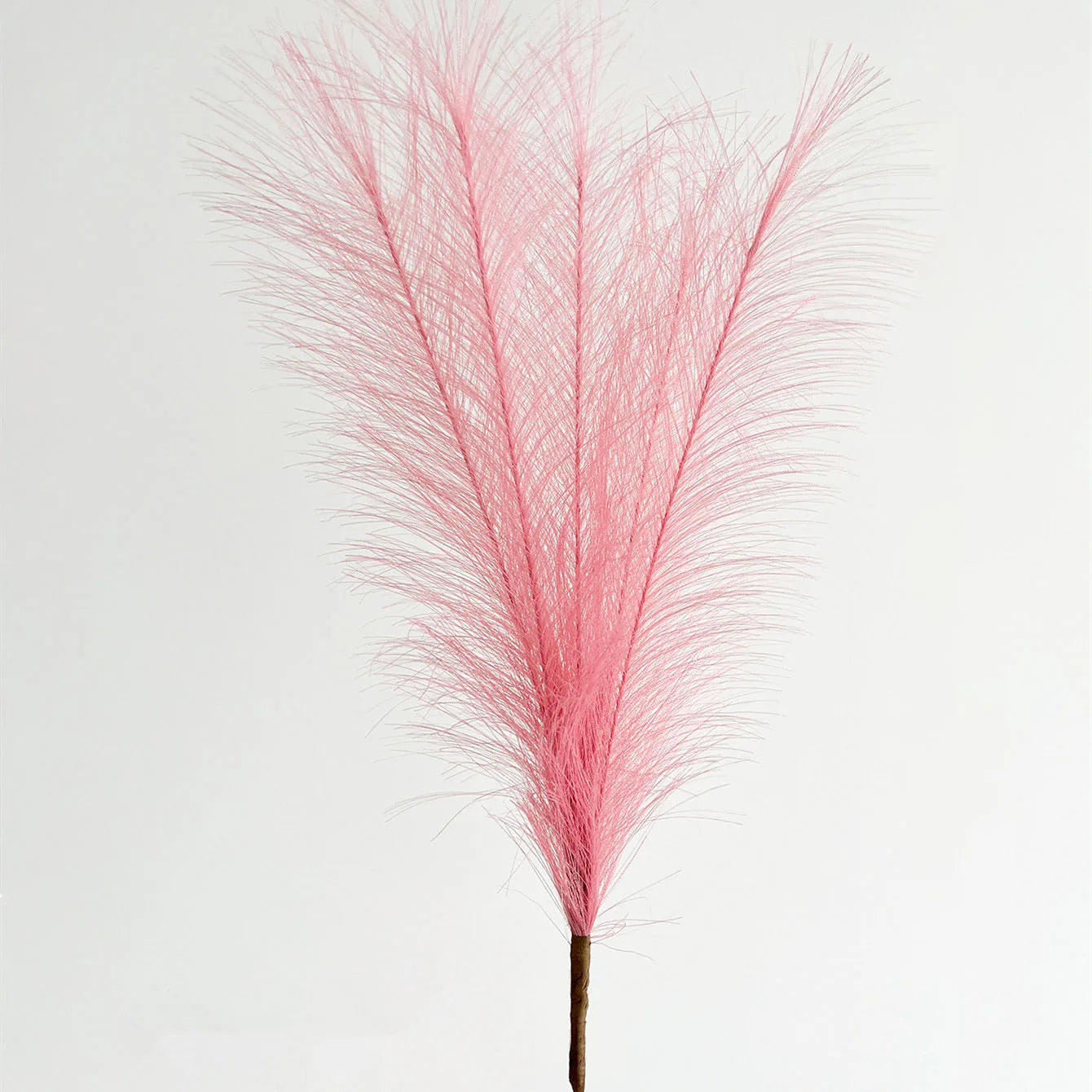 1/5/10/30pcs High Quality Bouquet pampas grass decoration 42cm Fluffy Pampas Grass Christmas Vase Decor Wedding Home Decor DIY