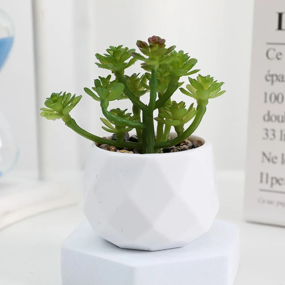 Soft Glue Artificial Plant EVA Green Faux Copper Coin Grass Garden Decoration Home Office Succulent Plants Leaves Home Office