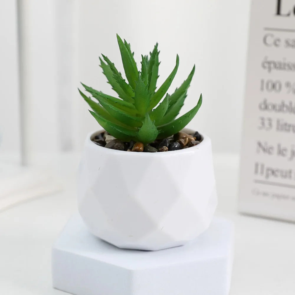 Soft Glue Artificial Plant EVA Green Faux Copper Coin Grass Garden Decoration Home Office Succulent Plants Leaves Home Office