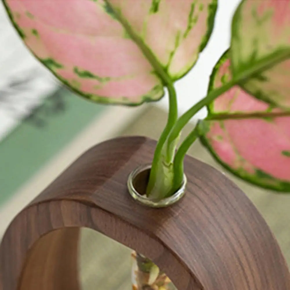 Hydroponic Plants Test Tube Vase with Wooden Stand Clear Flower Vase Table Plants Propagation Vase Home Office Desktop Decor