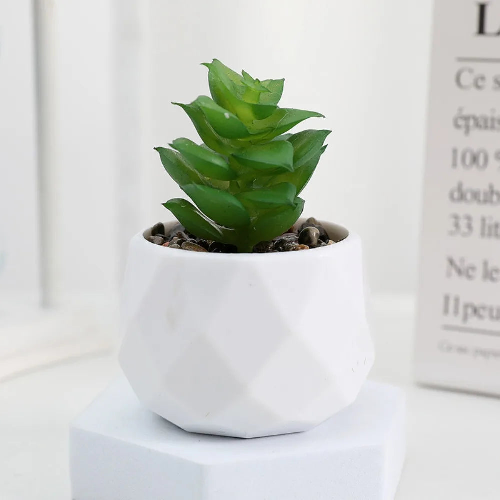 Soft Glue Artificial Plant EVA Green Faux Copper Coin Grass Garden Decoration Home Office Succulent Plants Leaves Home Office